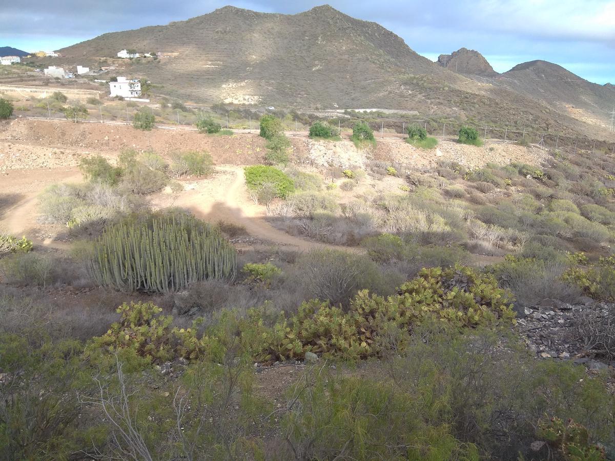 El Cerro De La Luna Arona  Ngoại thất bức ảnh
