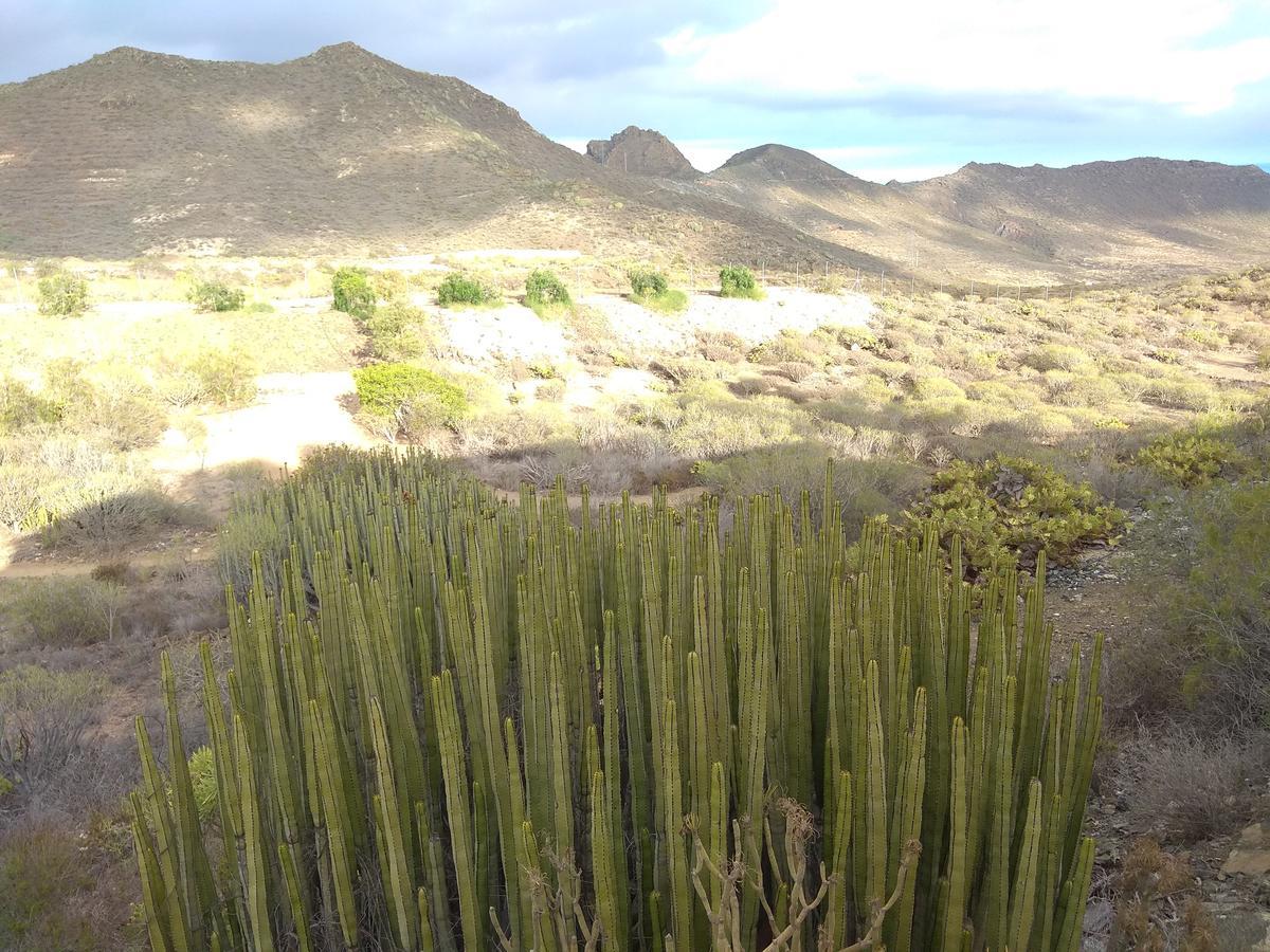El Cerro De La Luna Arona  Ngoại thất bức ảnh